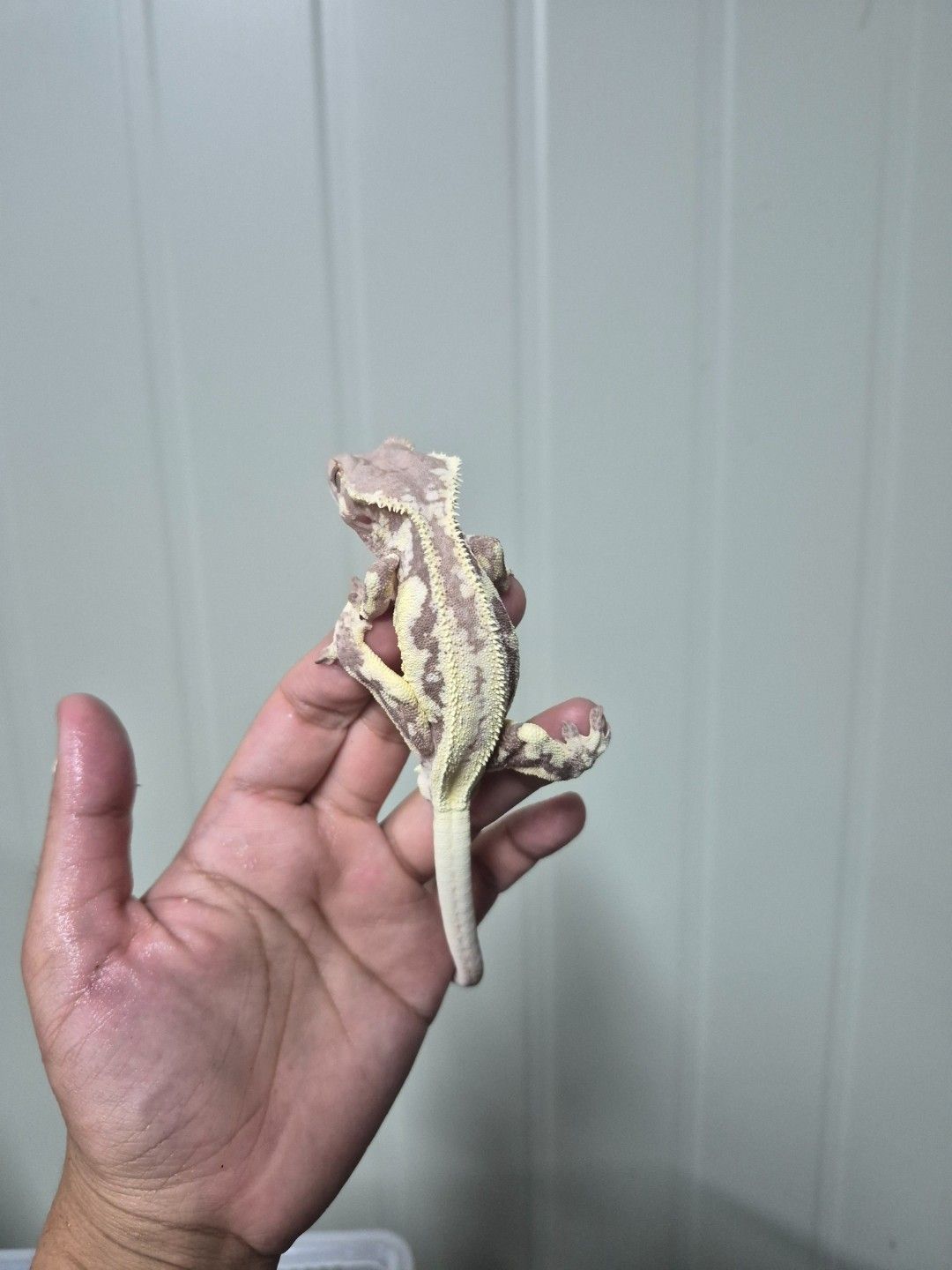 scaled_34010.jpg