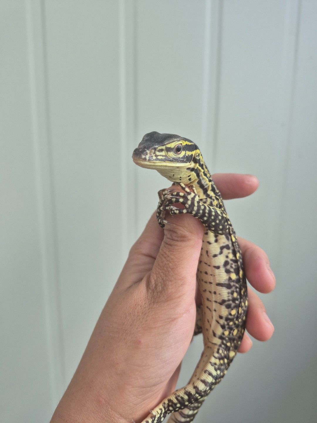 scaled_34252.jpg