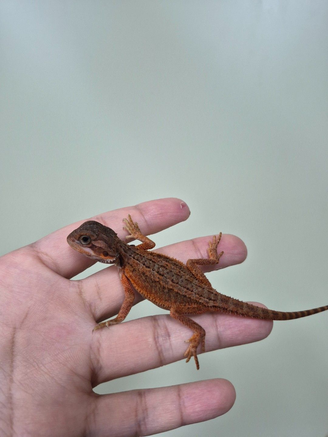 scaled_34679.jpg