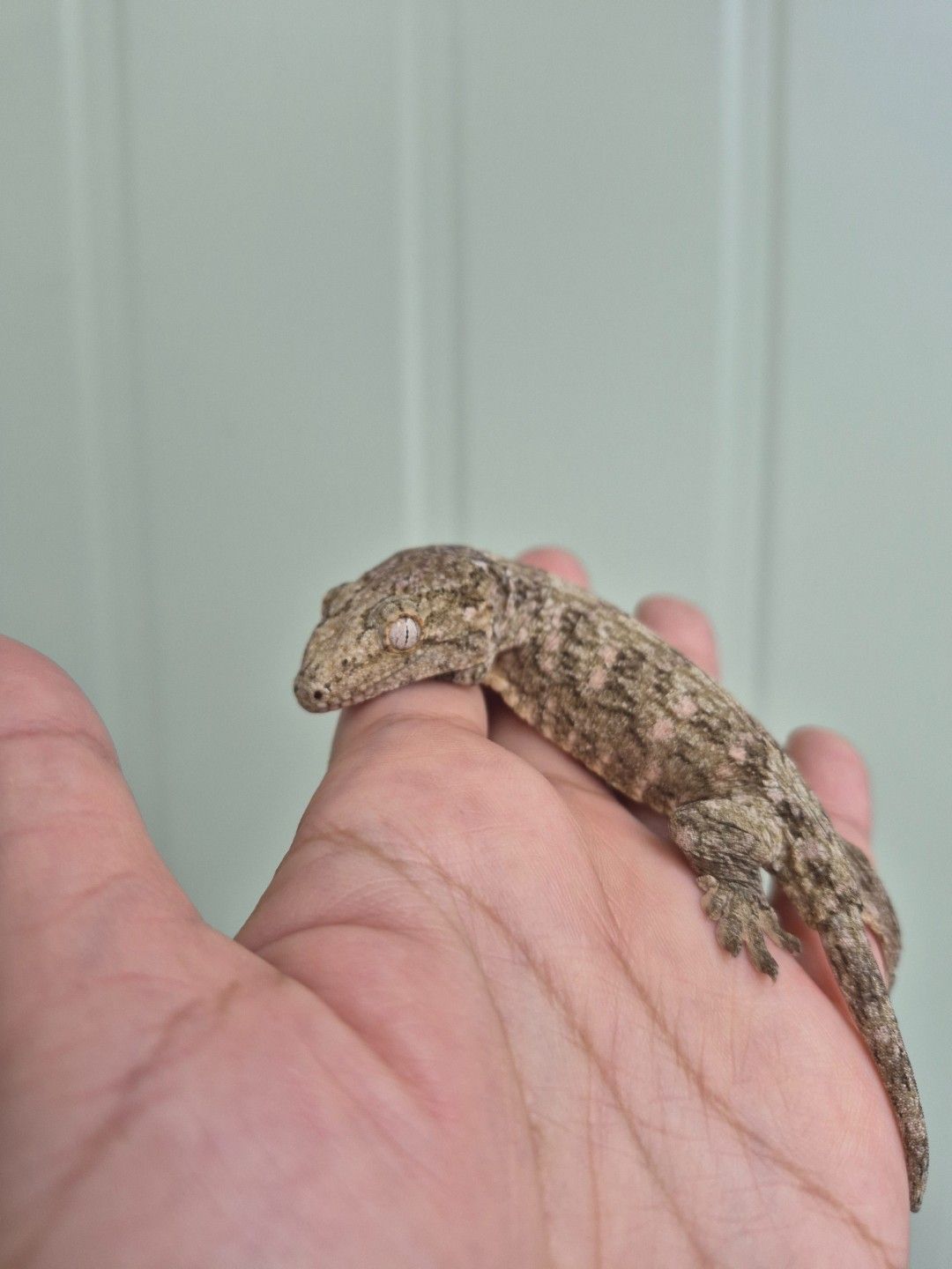 scaled_36742.jpg