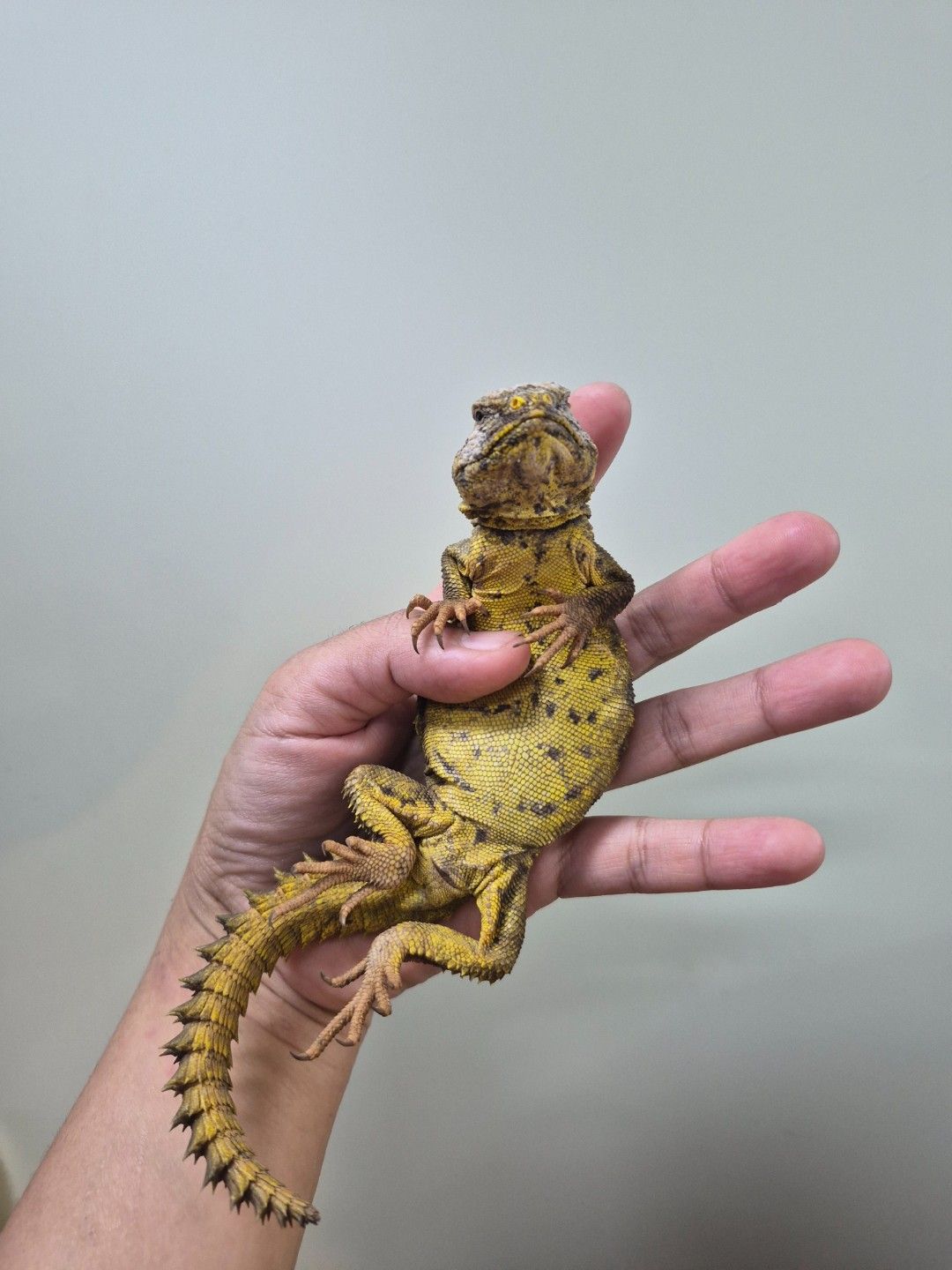 scaled_34274.jpg