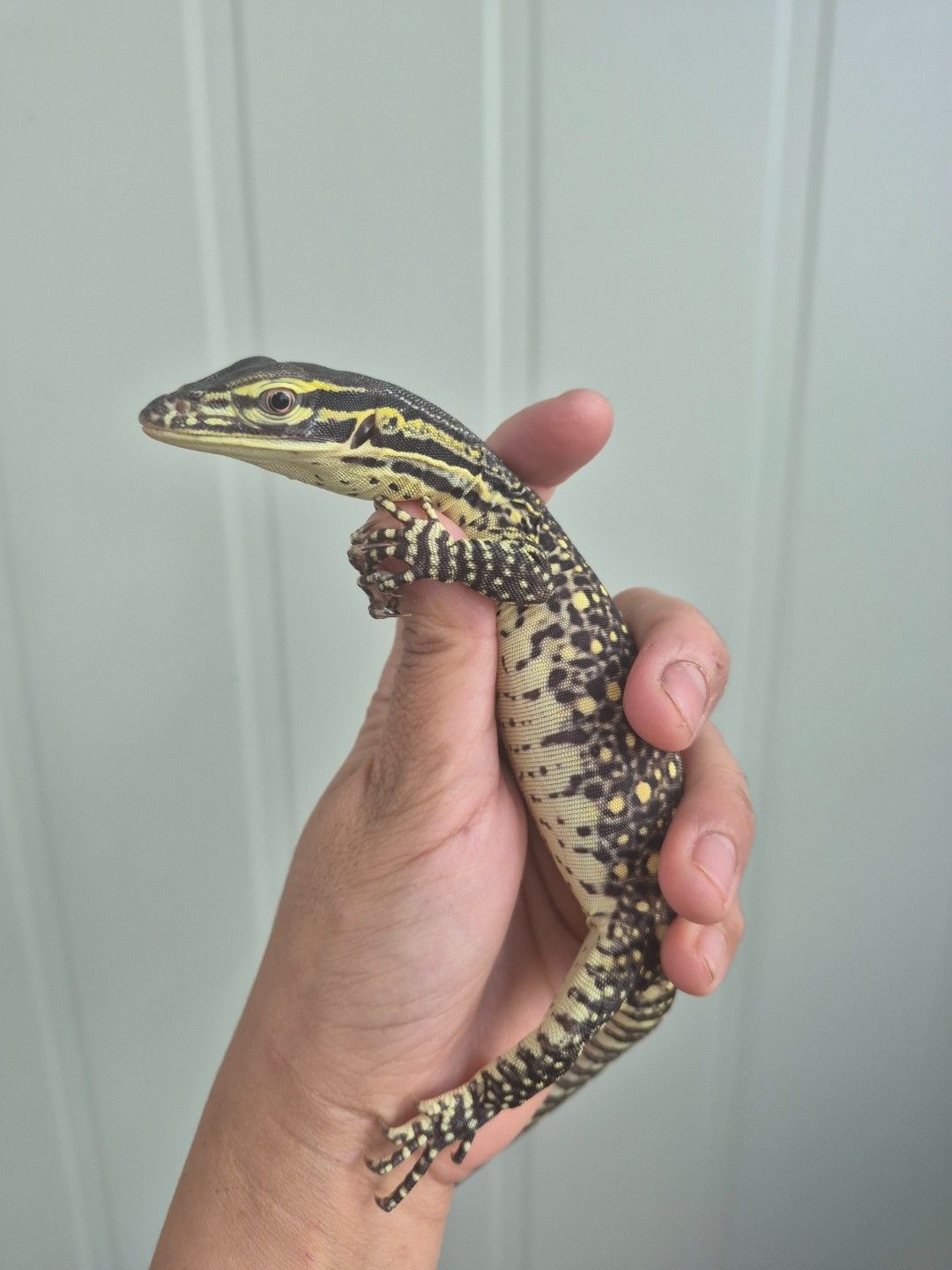 scaled_34249.jpg
