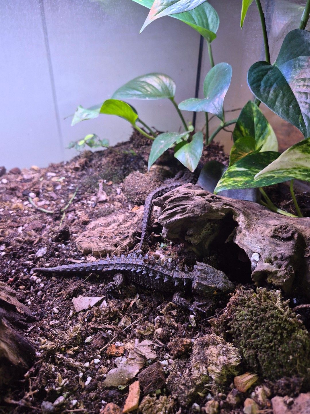 scaled_34137.jpg