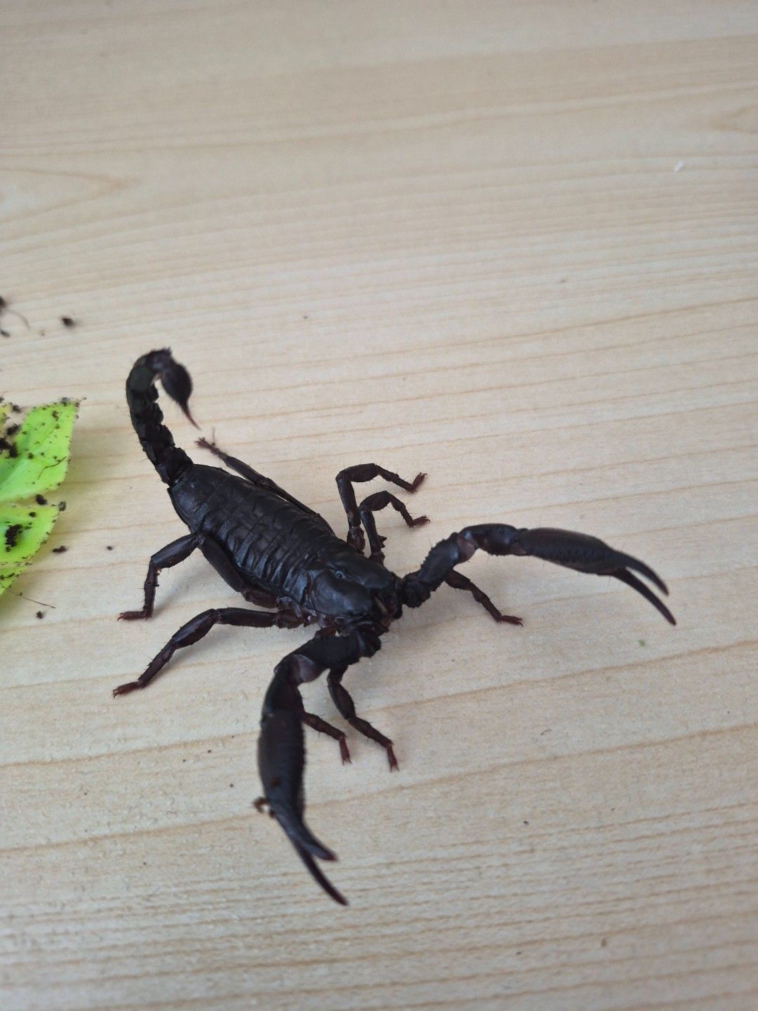 scaled_34856.jpg