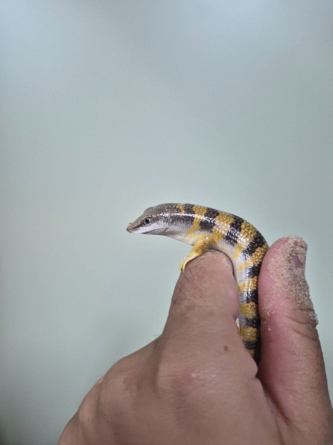 scaled_36825.jpg