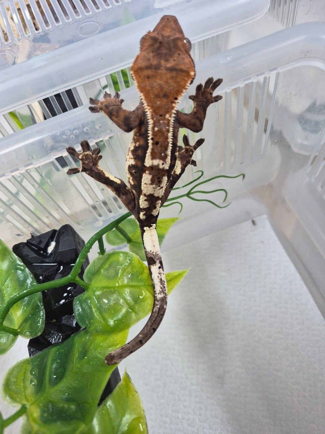 scaled_38679.jpg