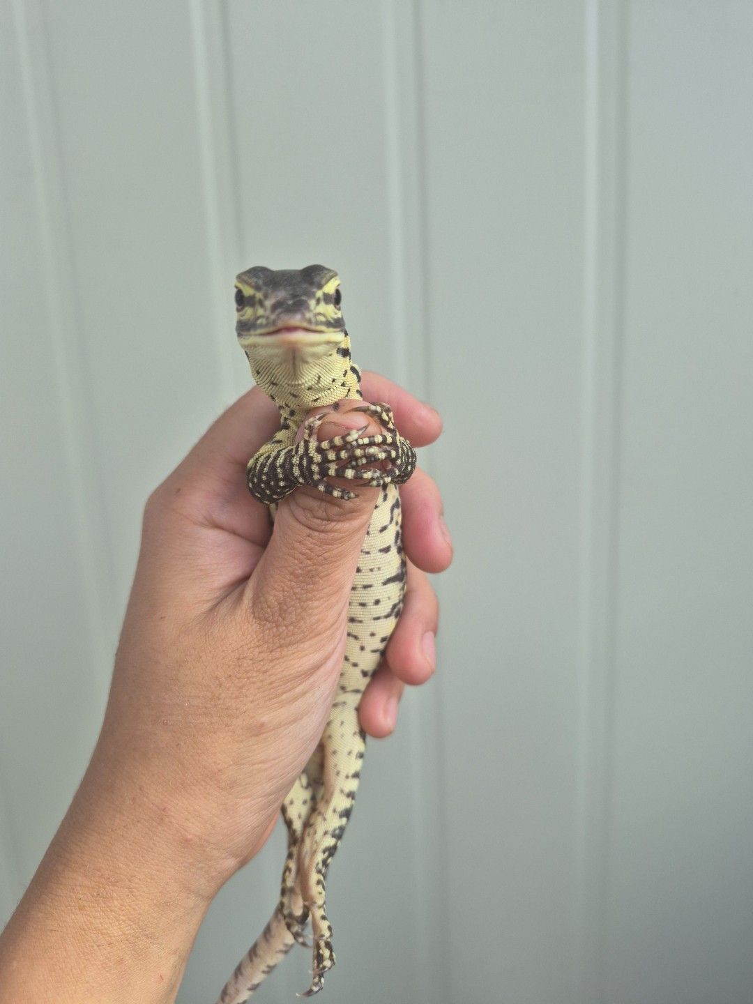 scaled_34246.jpg
