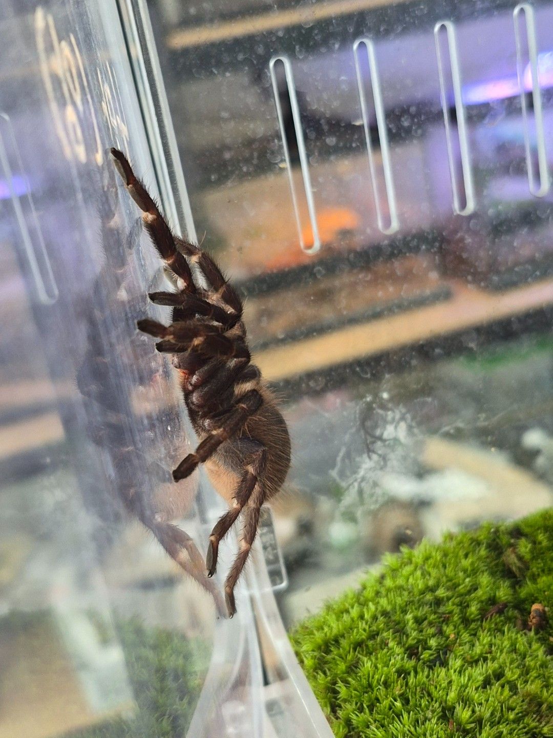 scaled_30683.jpg