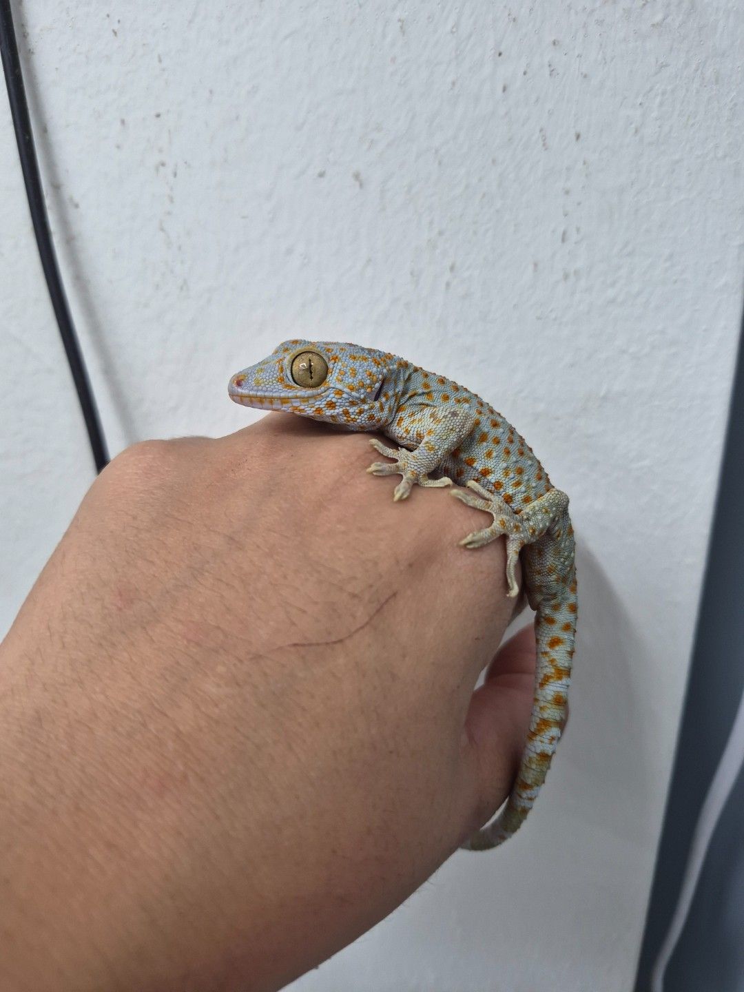 scaled_31872.jpg