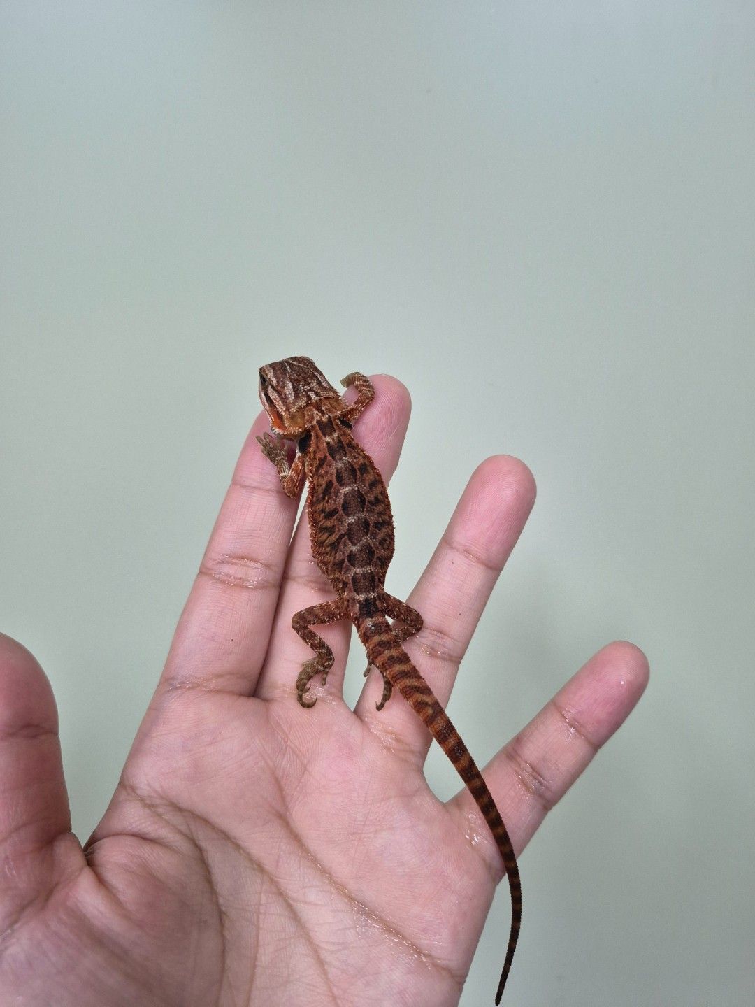 scaled_34686.jpg