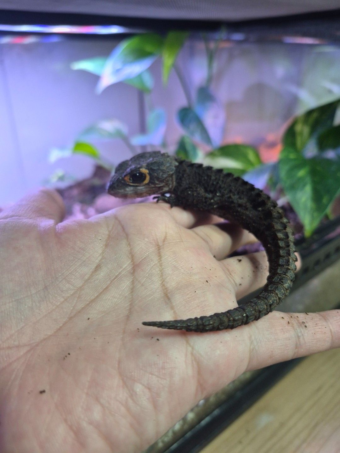 scaled_34145.jpg