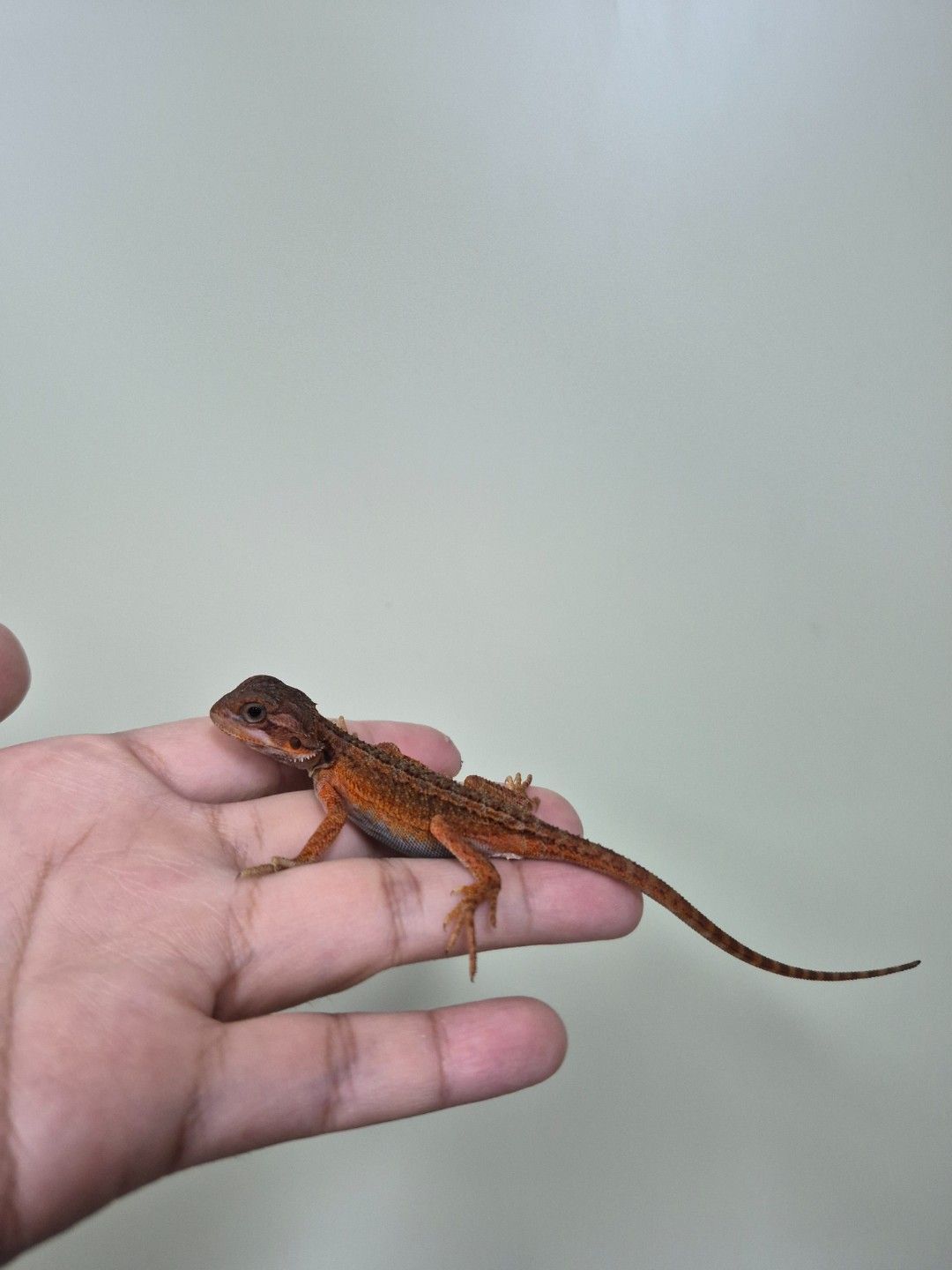 scaled_34677.jpg