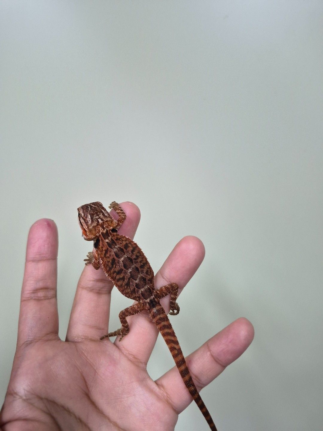 scaled_34688.jpg