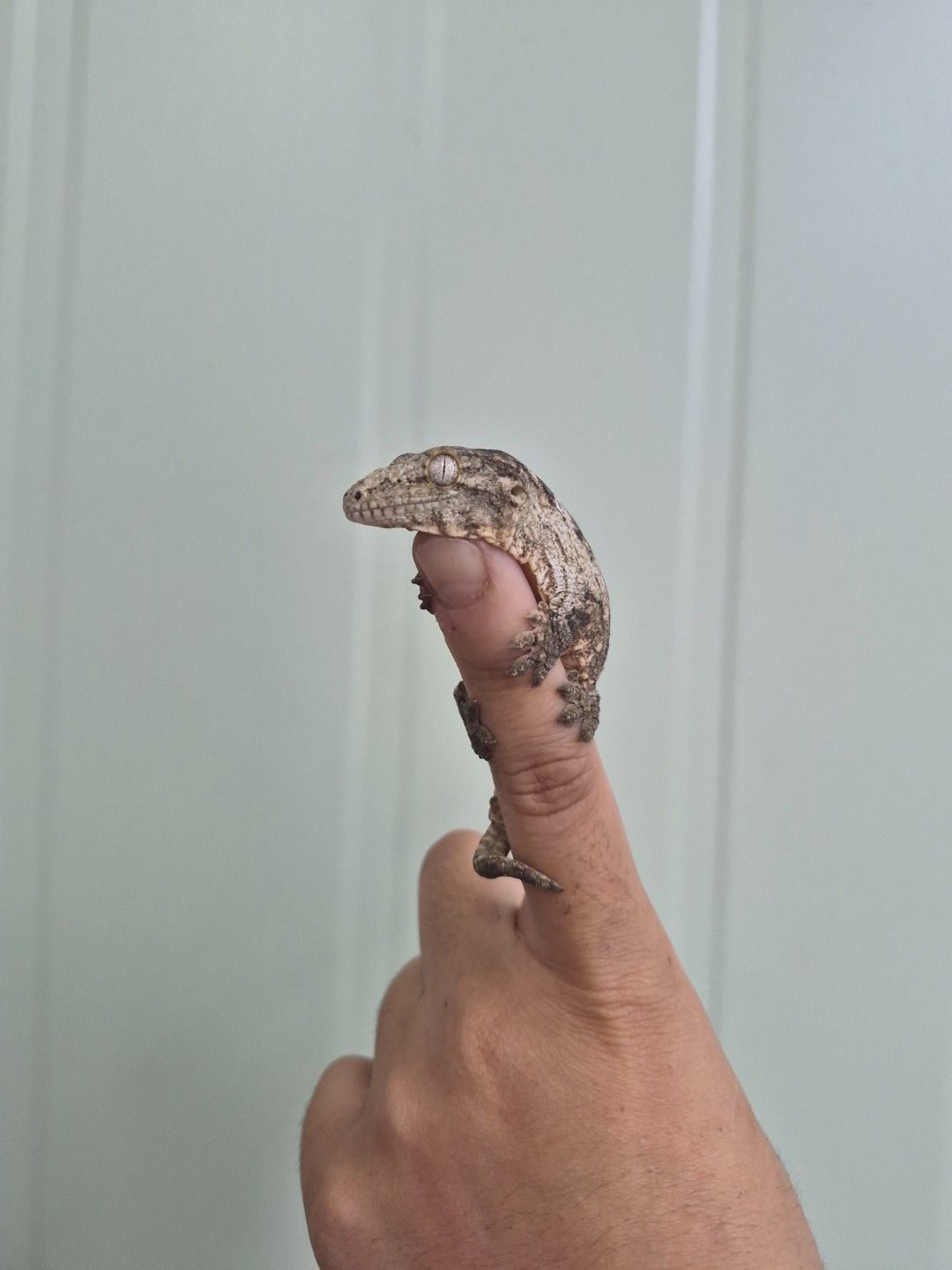 scaled_36756.jpg