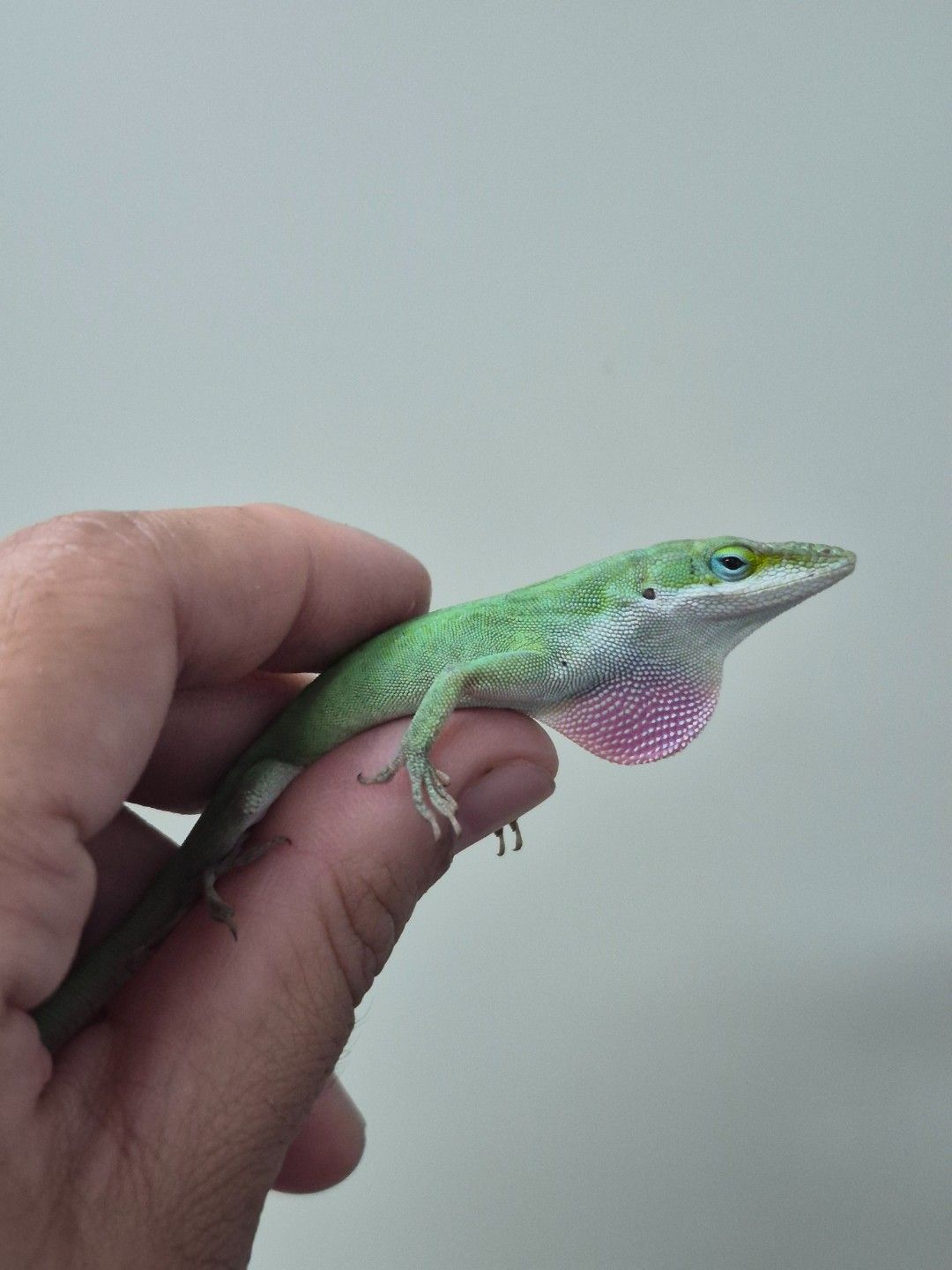 scaled_36689.jpg