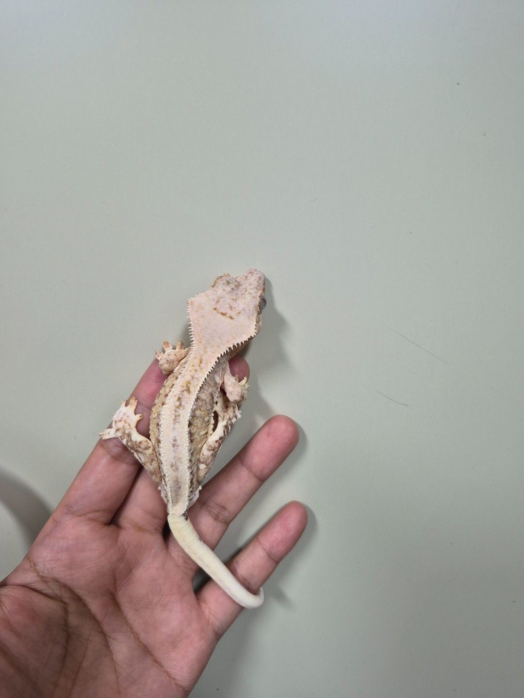 scaled_36815.jpg