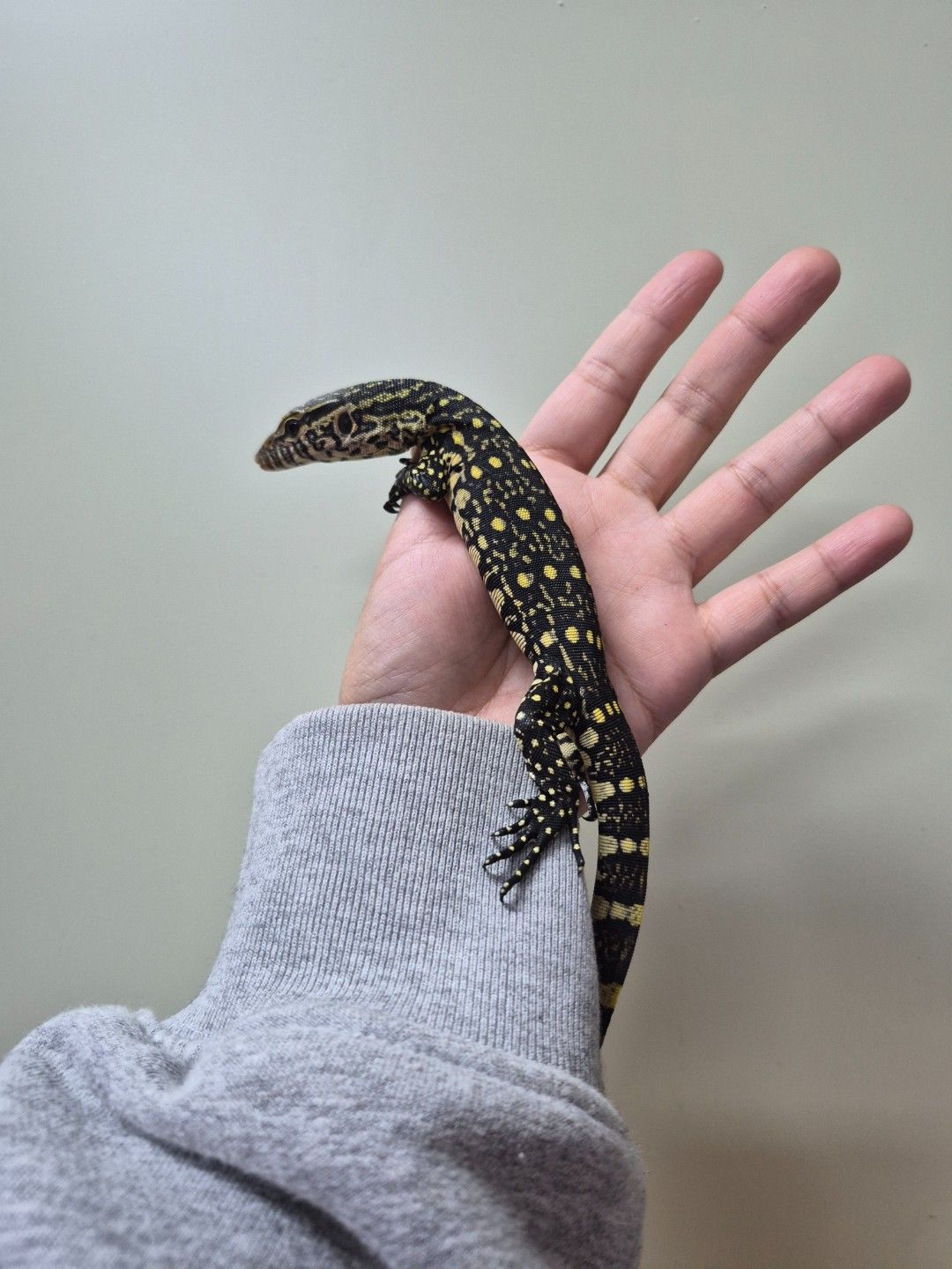 scaled_33391.jpg