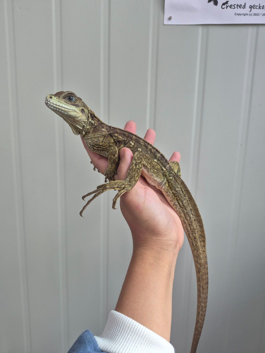 scaled_32426.jpg