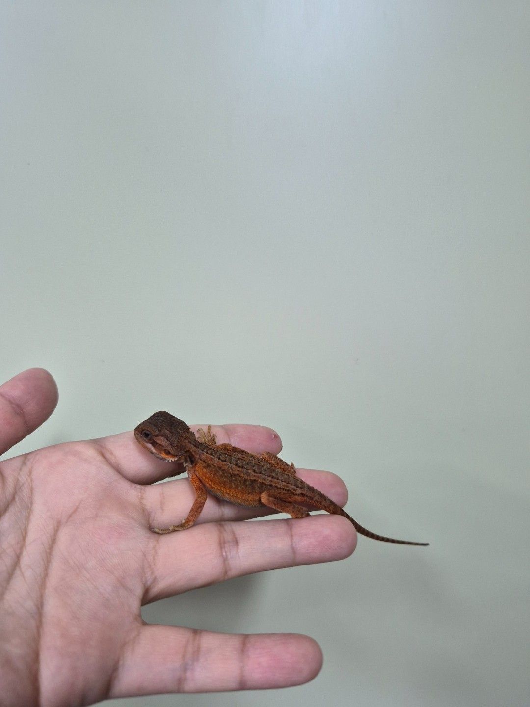 scaled_34675.jpg