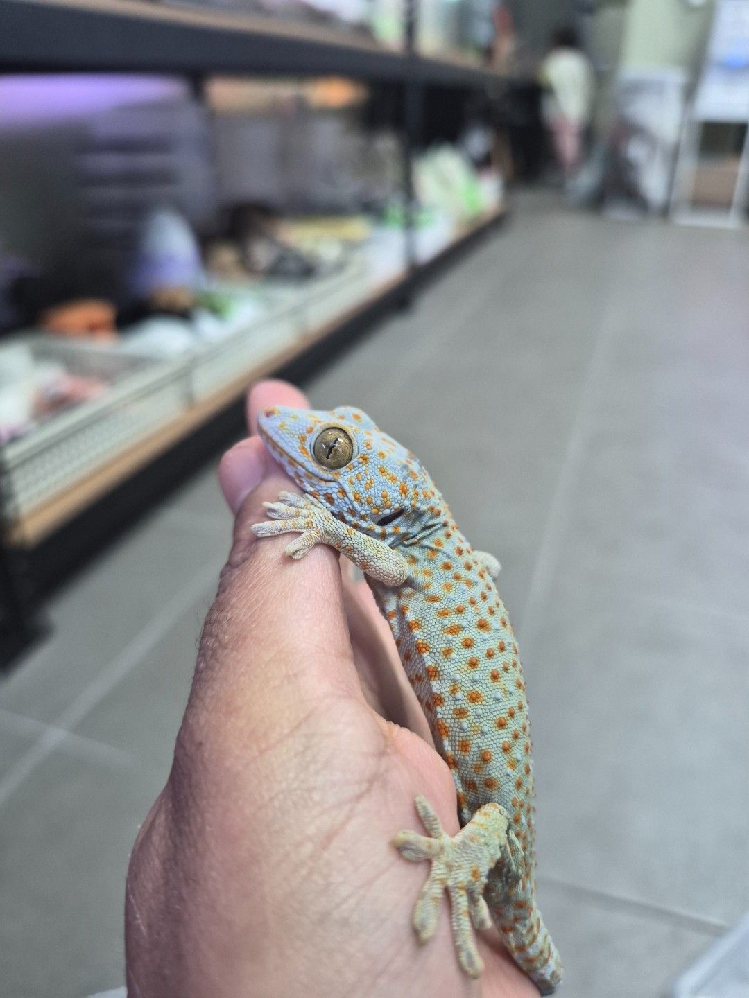 scaled_34528.jpg