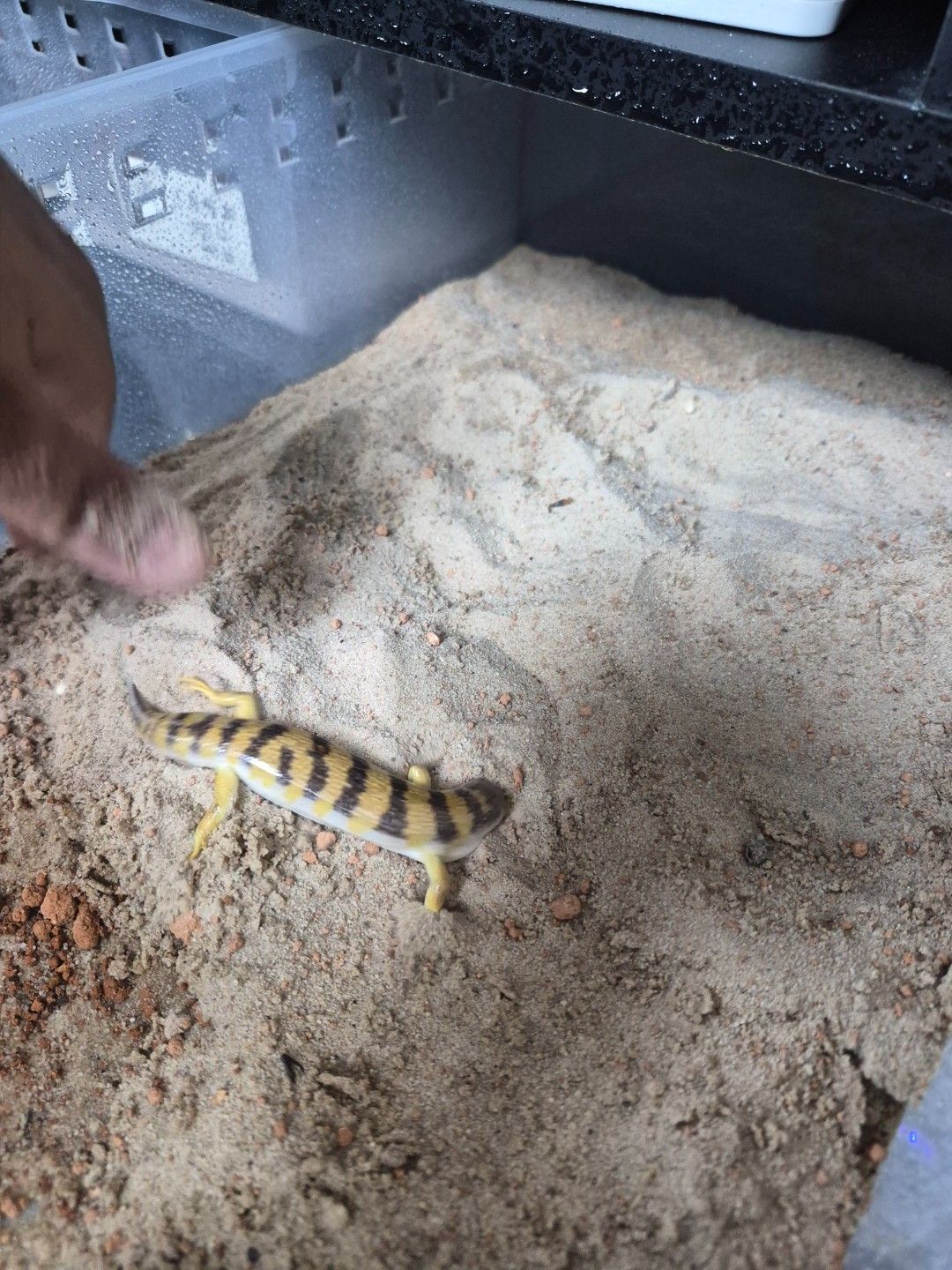 scaled_36834.jpg