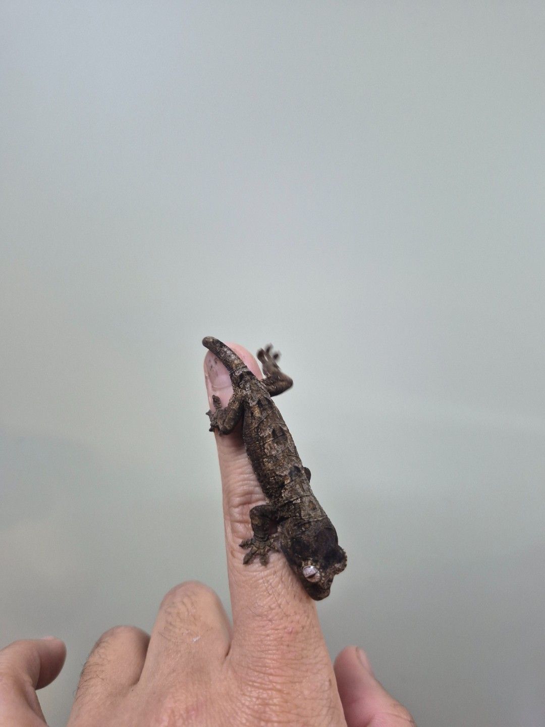 scaled_34264.jpg