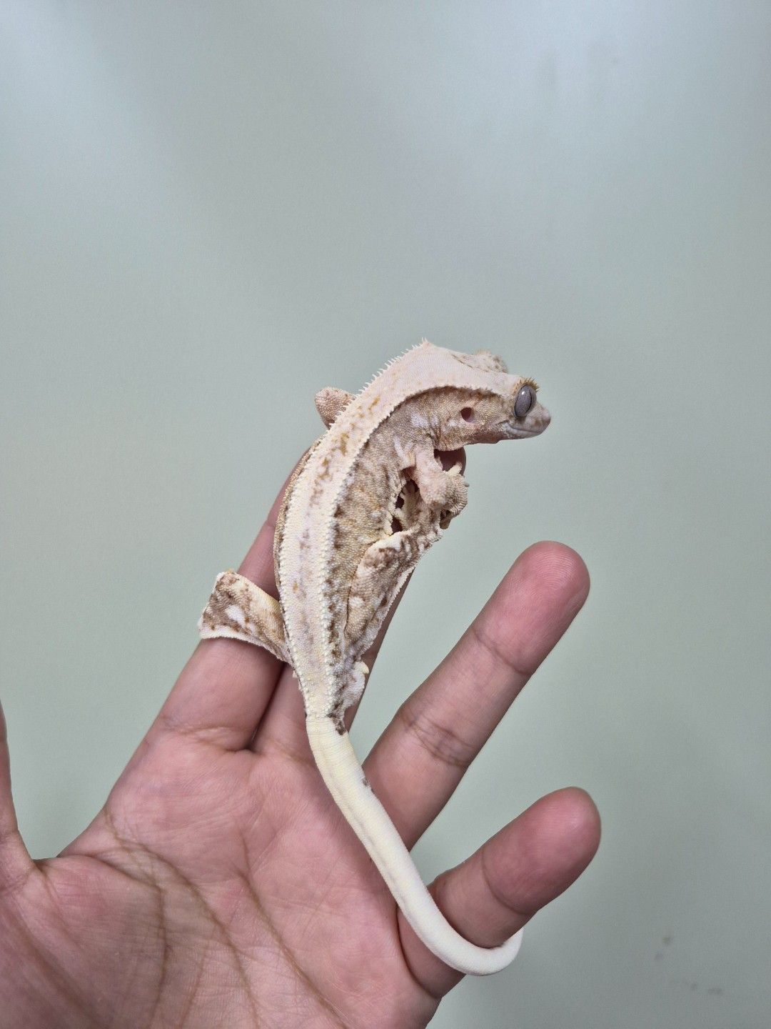 scaled_36814.jpg