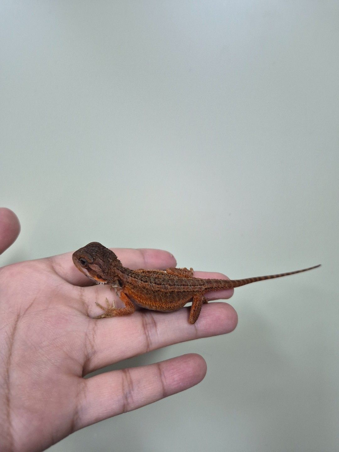 scaled_34674.jpg