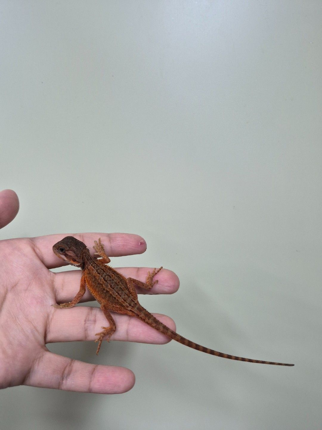 scaled_34676.jpg