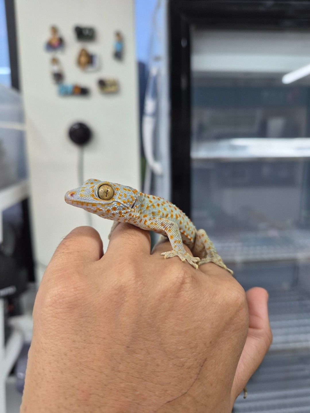 scaled_31873.jpg