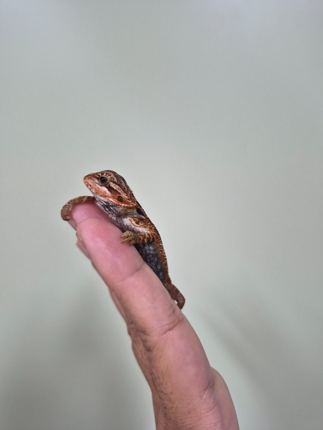 scaled_34687.jpg
