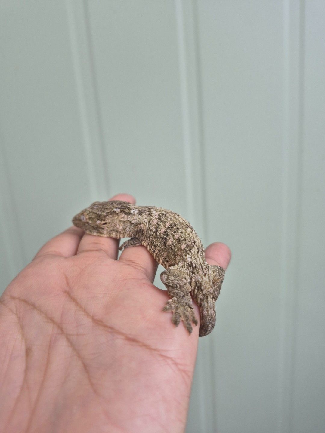scaled_36736.jpg