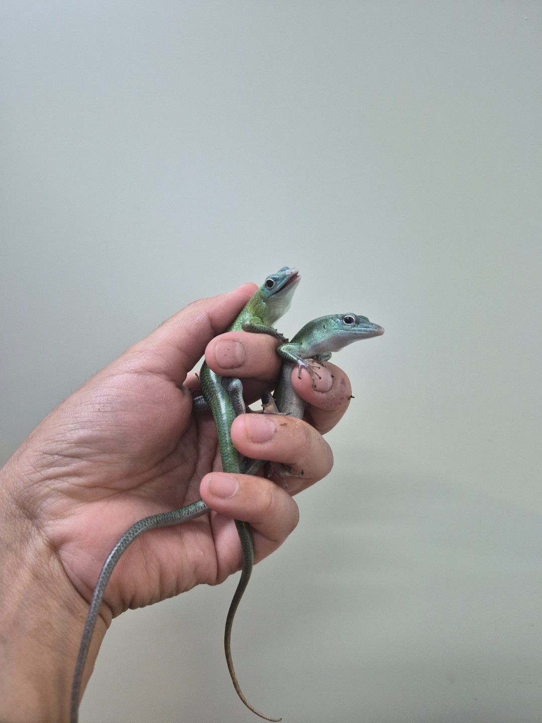 scaled_34515.jpg
