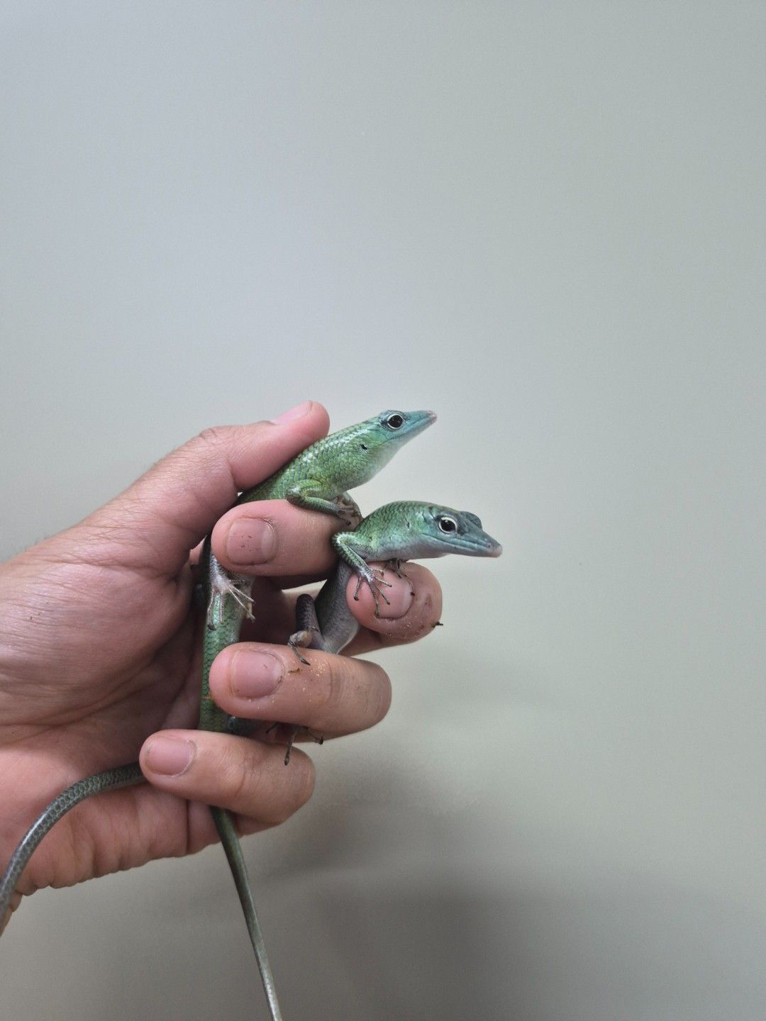scaled_34517.jpg