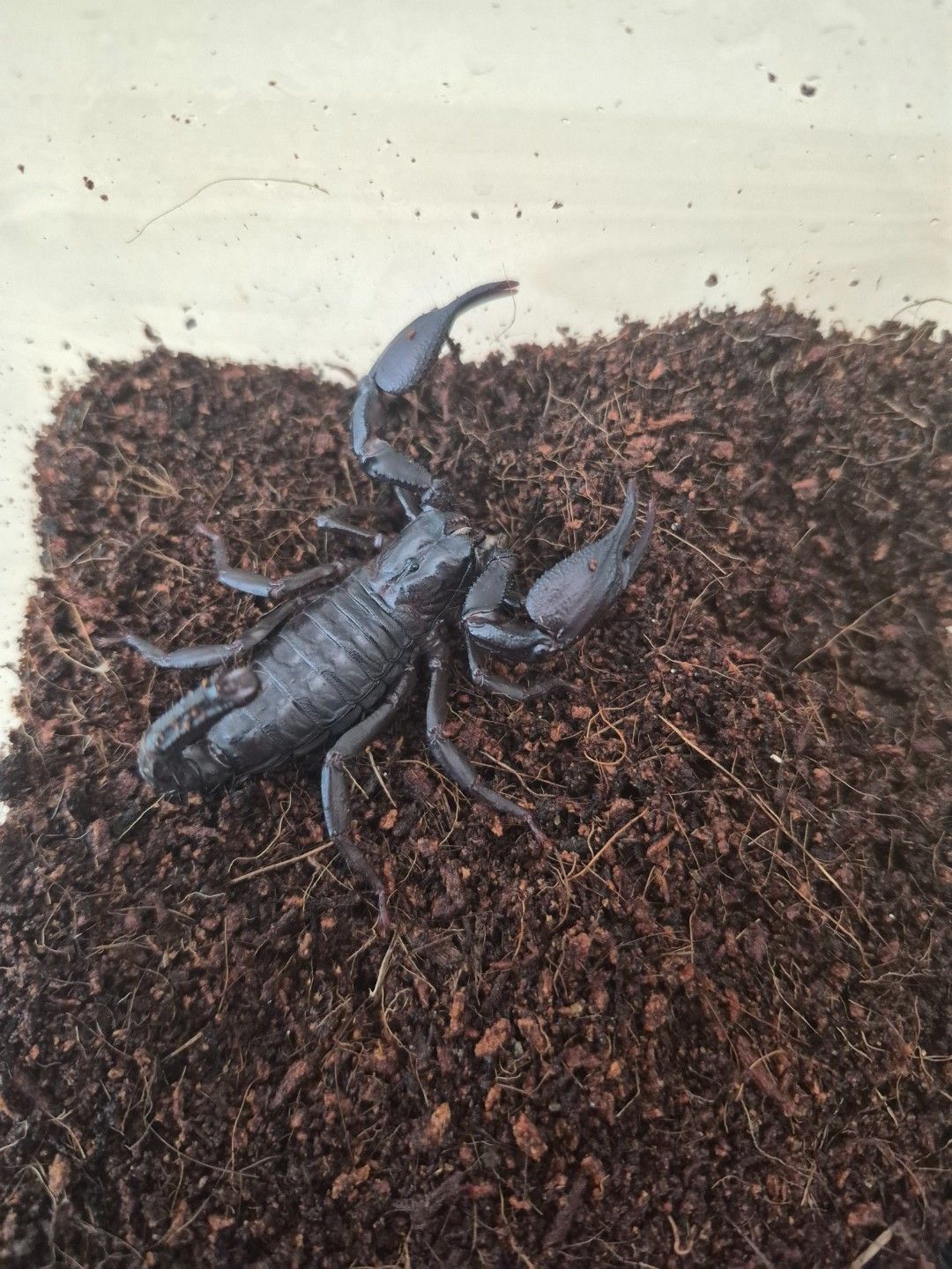 scaled_34852.jpg