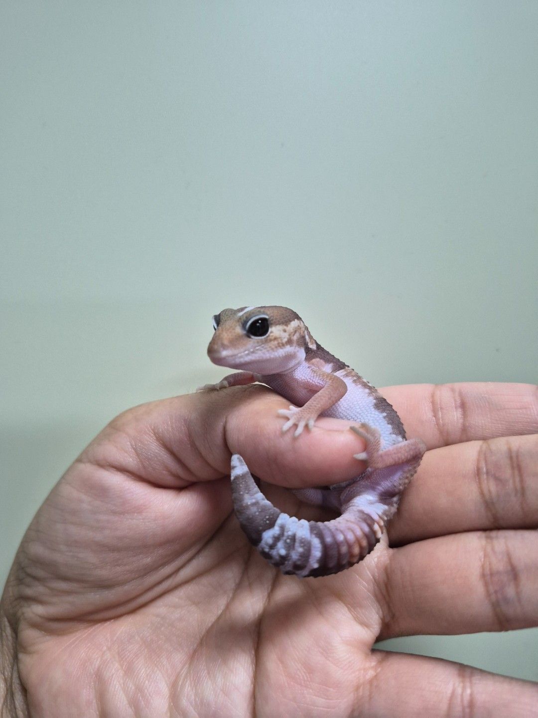 scaled_38776.jpg