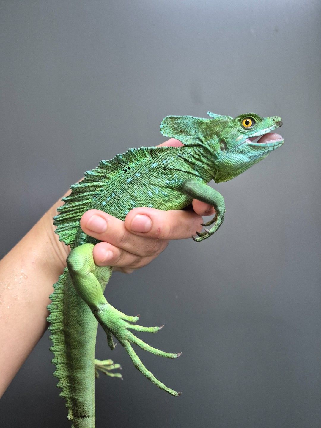 scaled_34460.jpg
