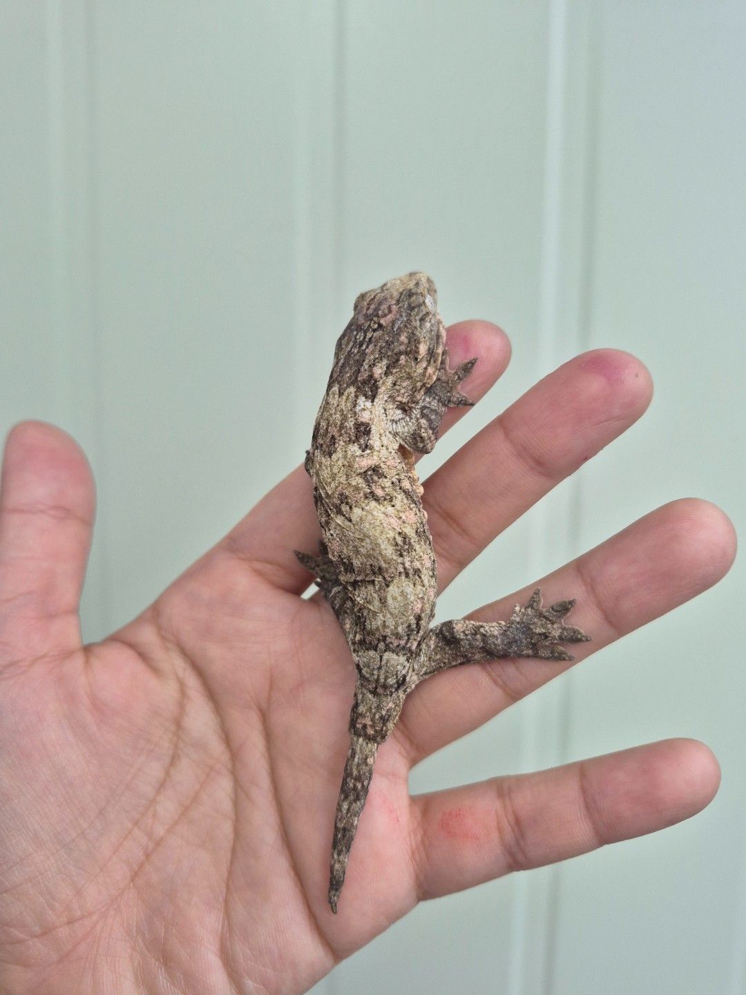 scaled_36748.jpg