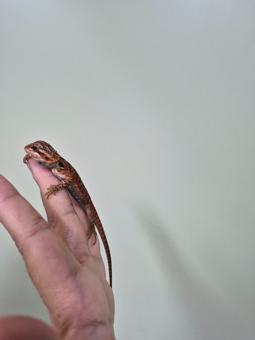 scaled_34689.jpg