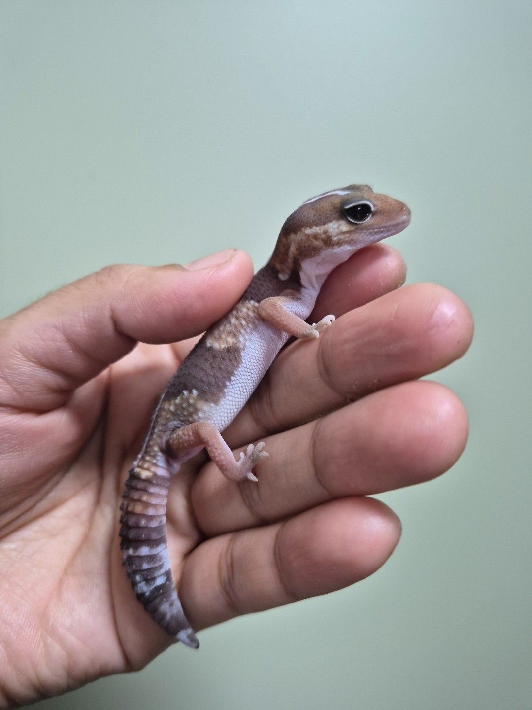 scaled_38777.jpg