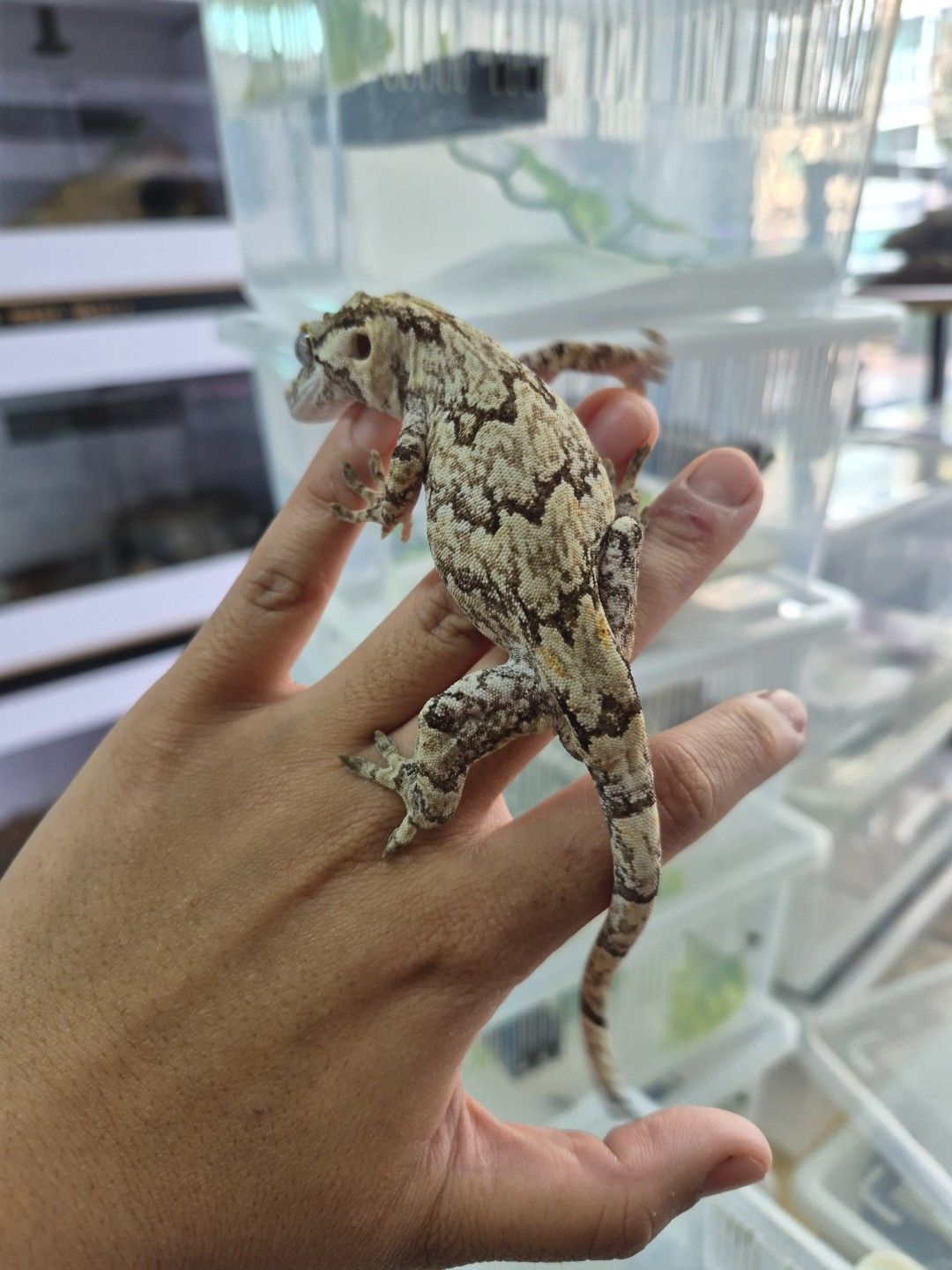 scaled_34622.jpg