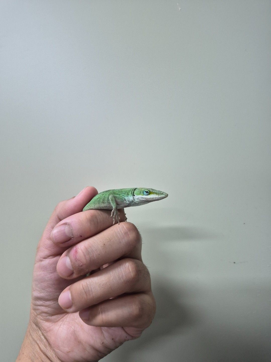 scaled_36682.jpg