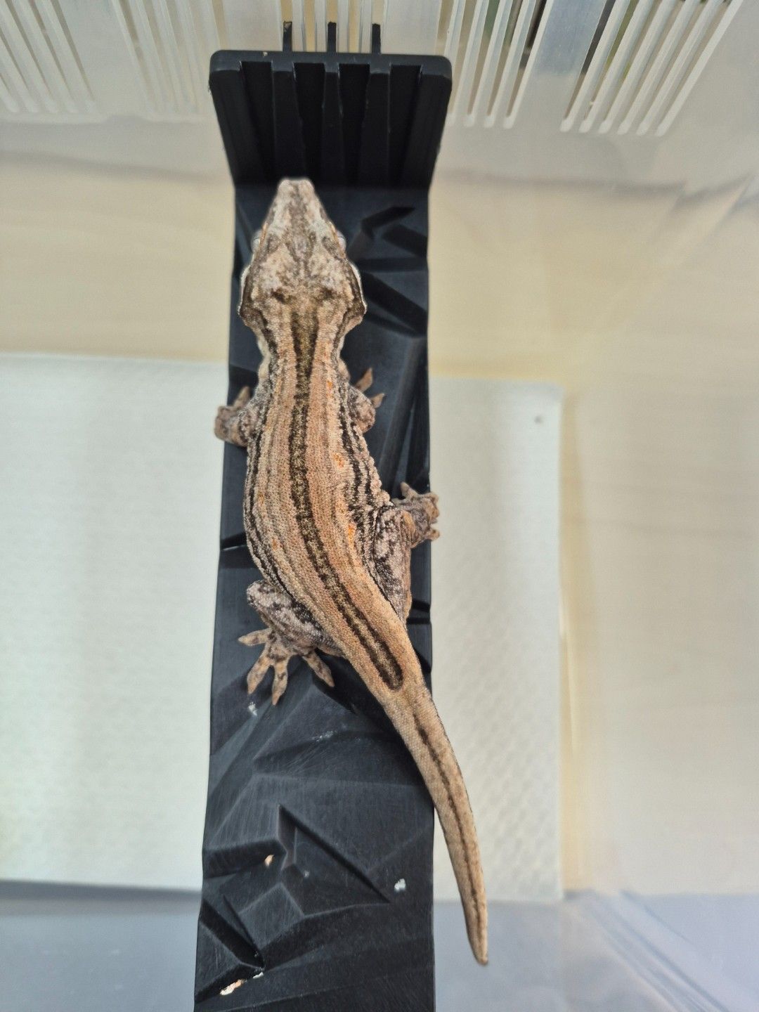 scaled_34614.jpg
