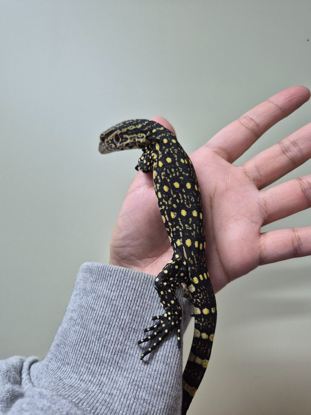 scaled_33392.jpg