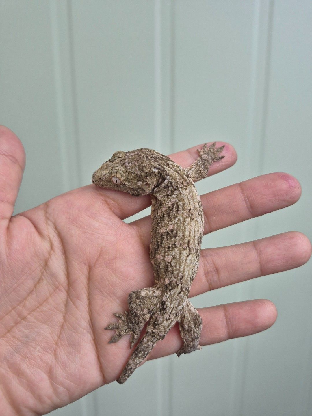 scaled_36740.jpg