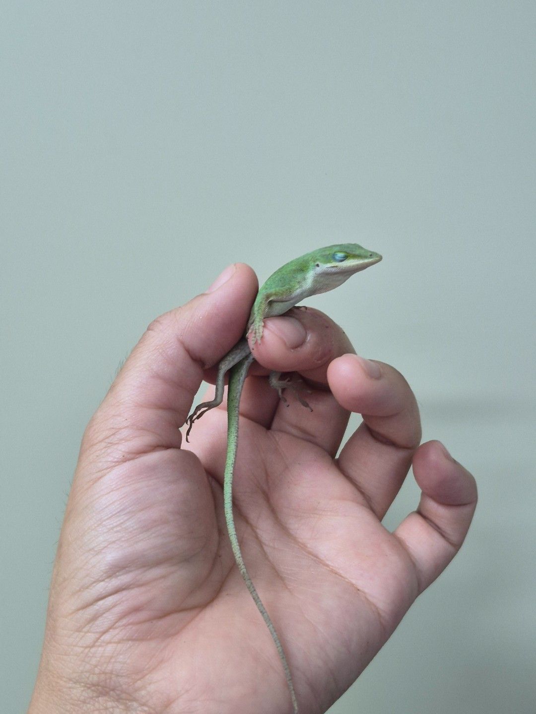 scaled_36694.jpg