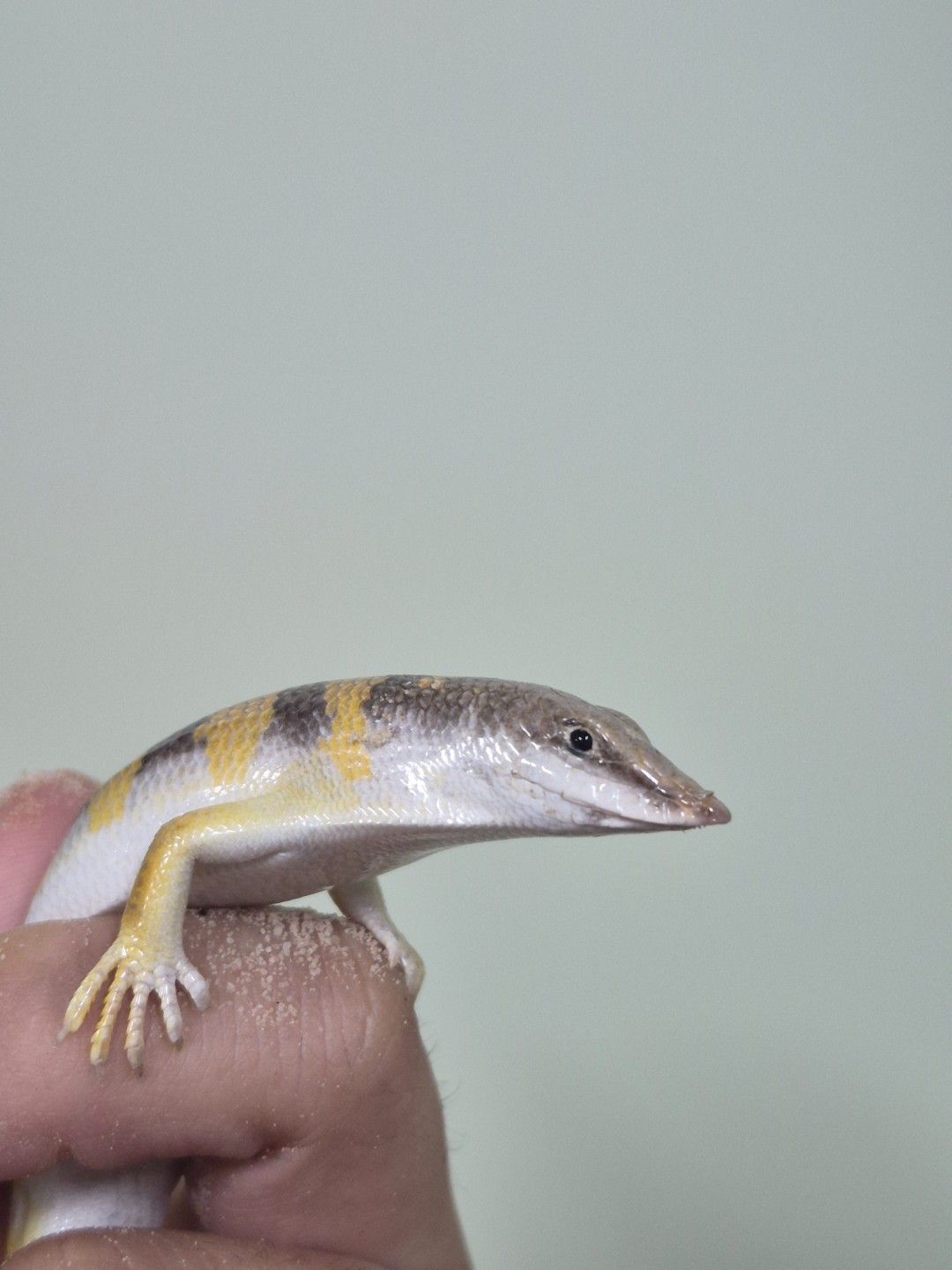 scaled_36827.jpg