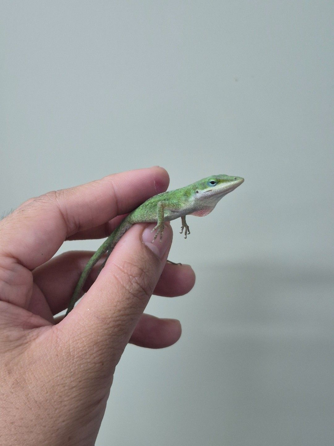 scaled_36692.jpg