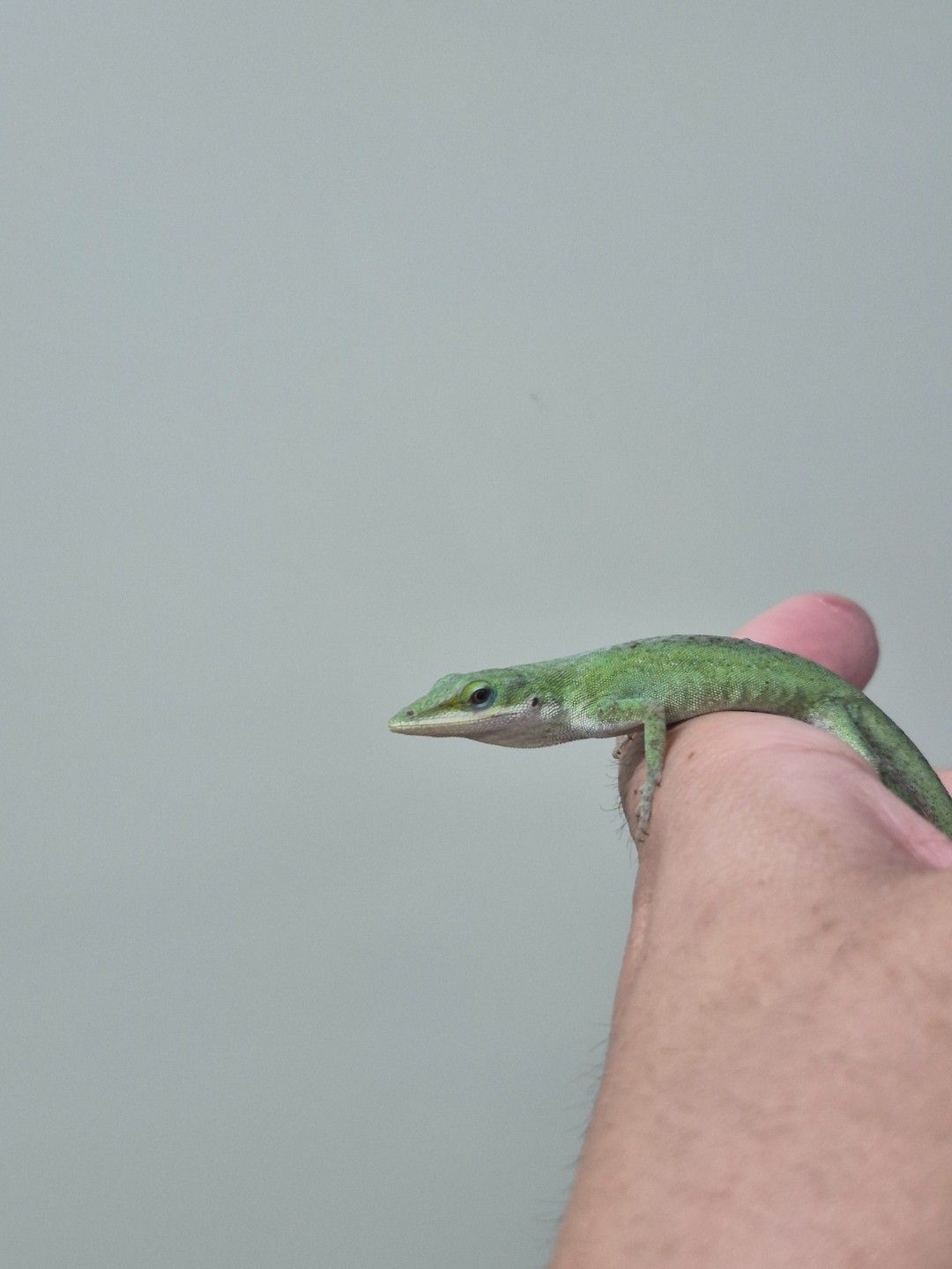 scaled_36693.jpg
