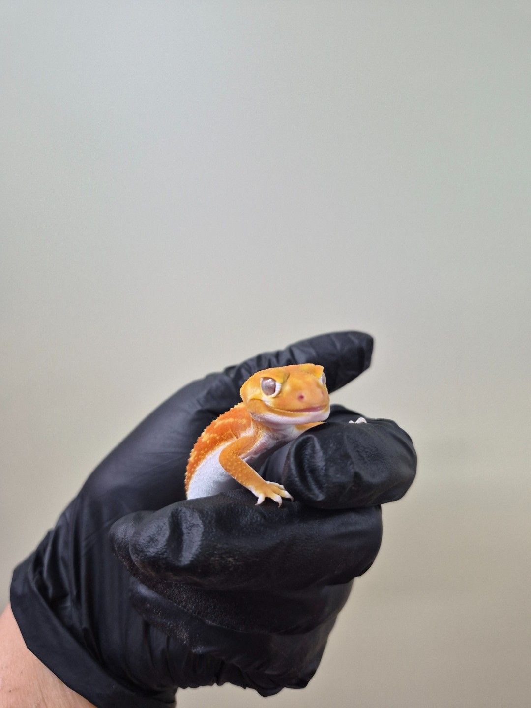 scaled_37904.jpg